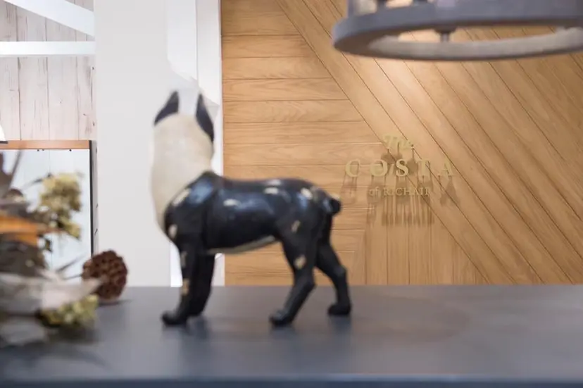 田村 亜衣華の掲載