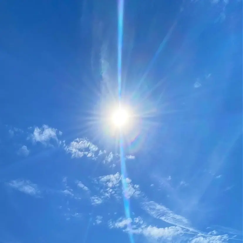 cocotte宜喜 弘希の掲載