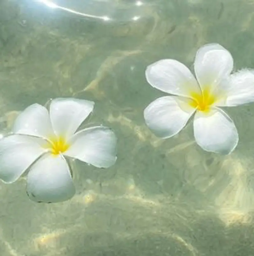 HANA【ハナ】🌺 kanaの掲載