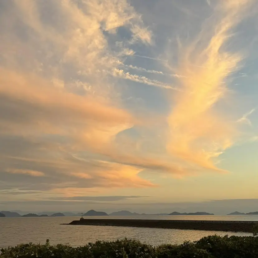 A BY WHO あおきの掲載