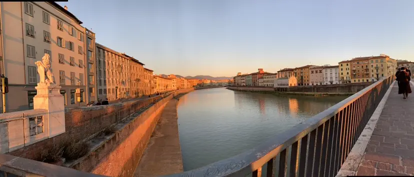 🩵似合わせカット SEIRA🩵の掲載