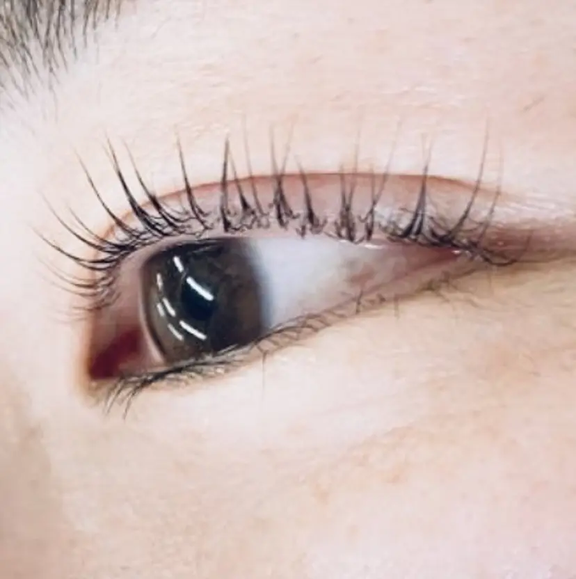 CLAY eyelashの掲載