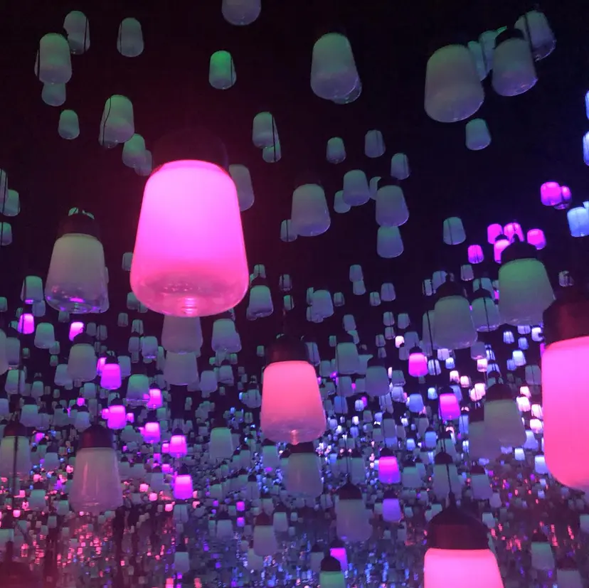 谷川 美咲の掲載