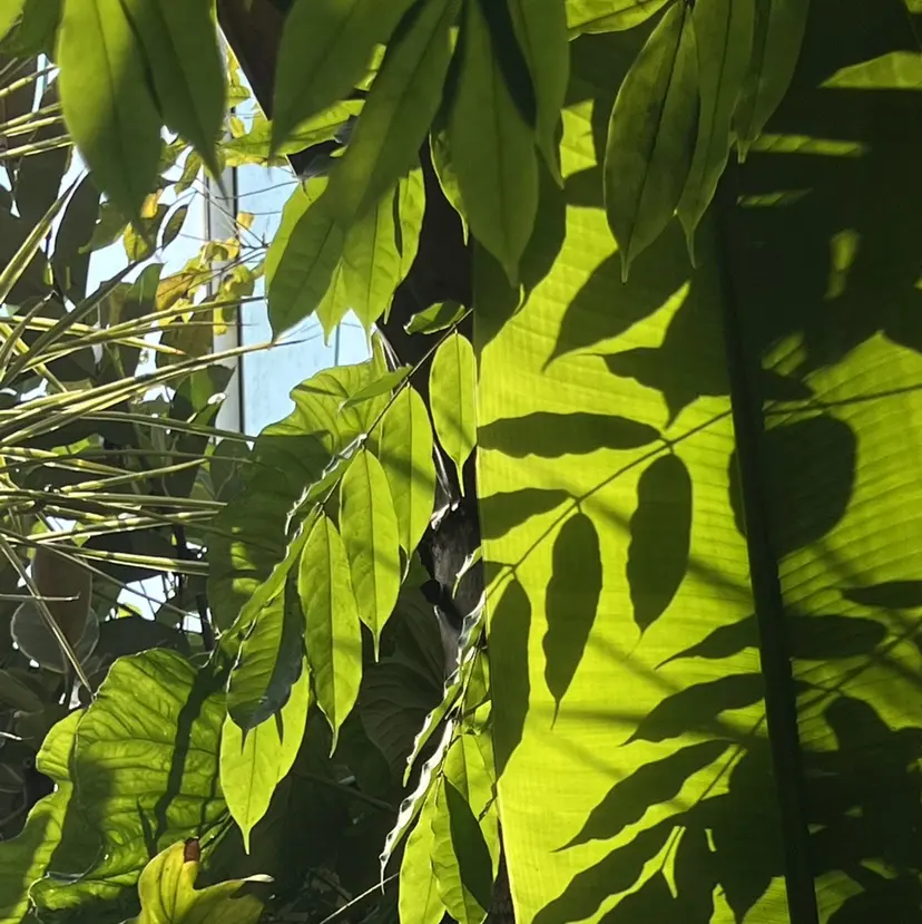 RIN🪐 ウルフ/ハイトーンの掲載