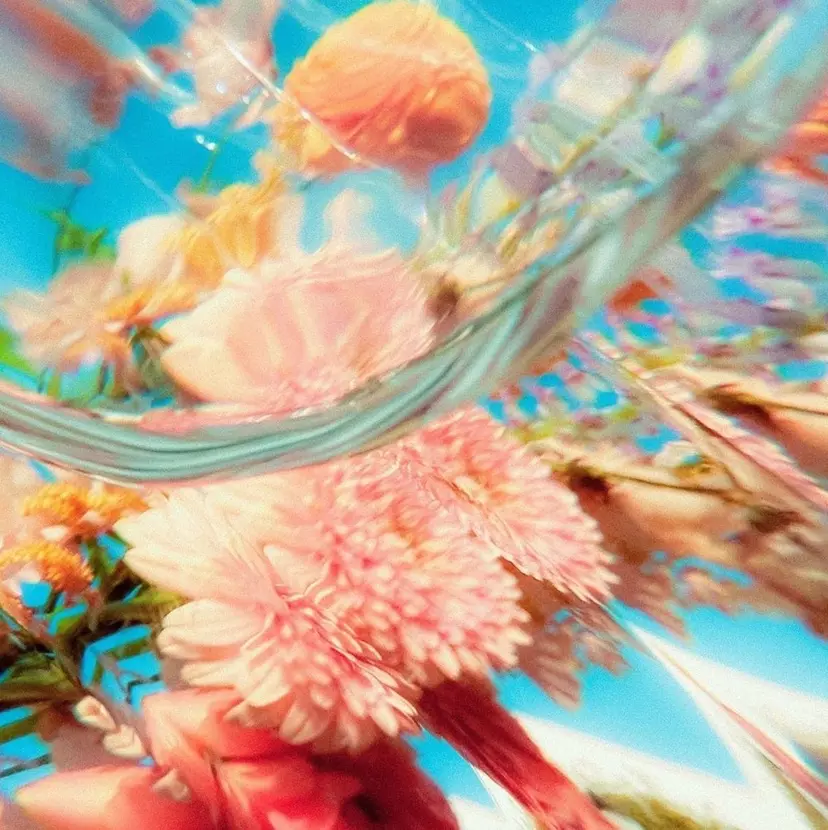 Hasegawa Akaneの掲載