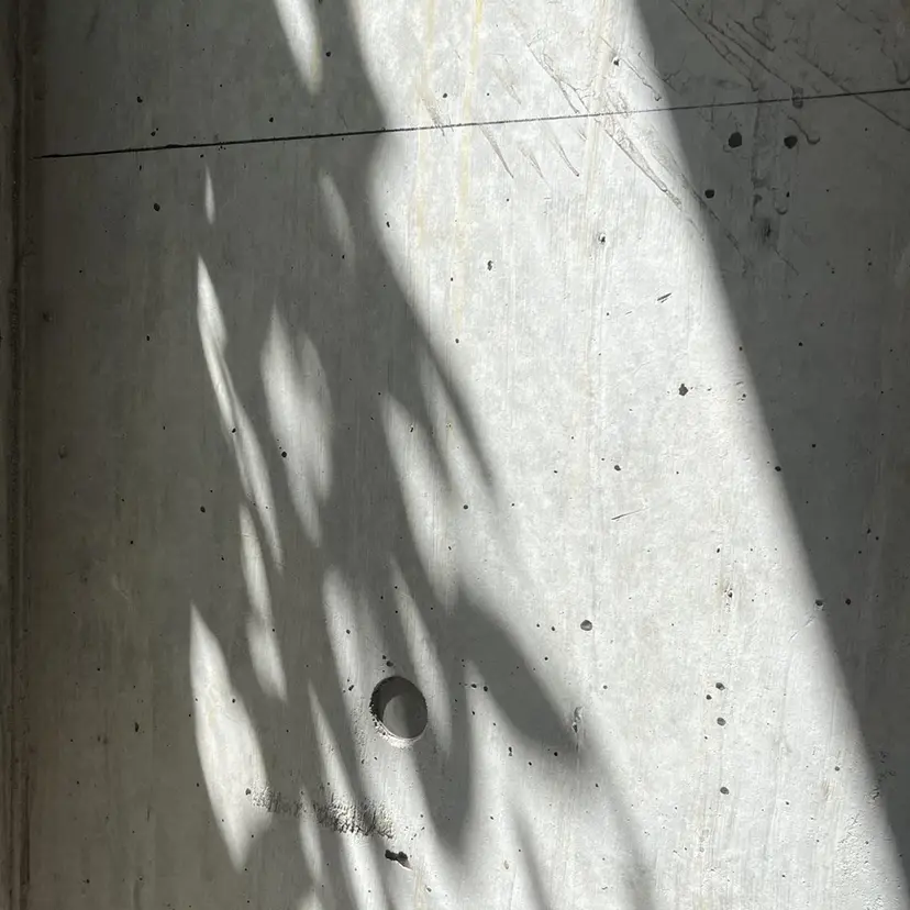 イイダ ヒナの掲載