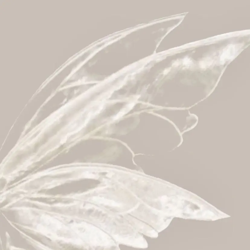 糠信 咲梨の掲載