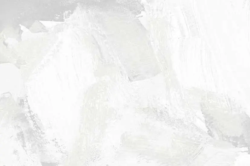 Lulu nerineの掲載