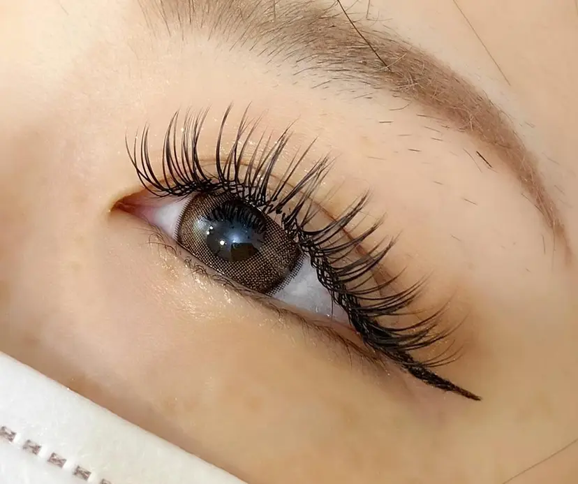 エバーアイズ 戸川の掲載