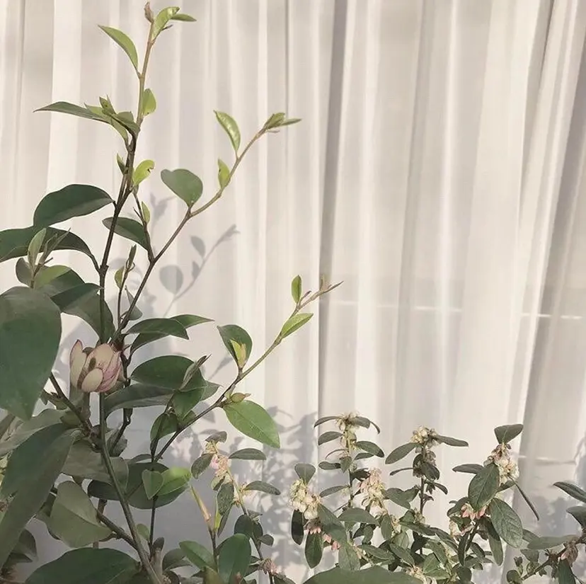 premiere🍀 ozawaの掲載