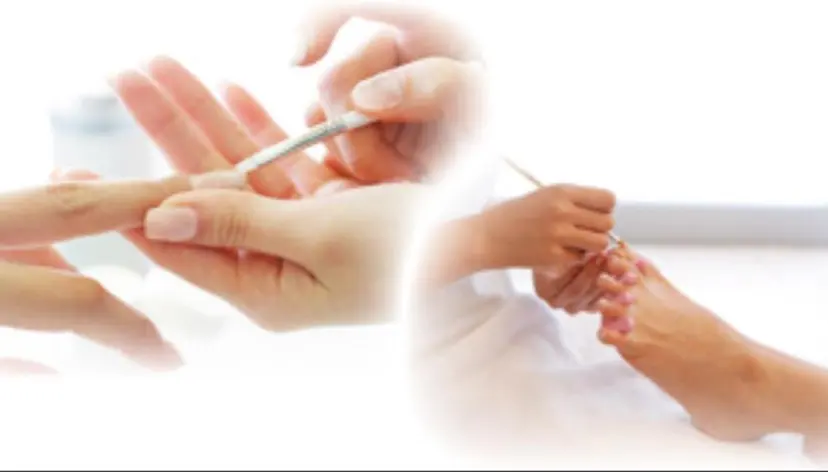 奈良 智子の掲載