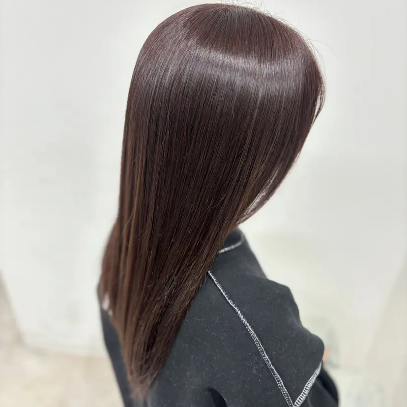 石井 せなの掲載