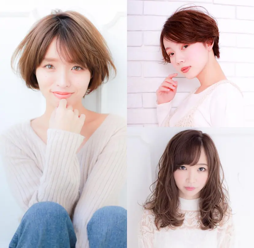 Maeda マエダの掲載