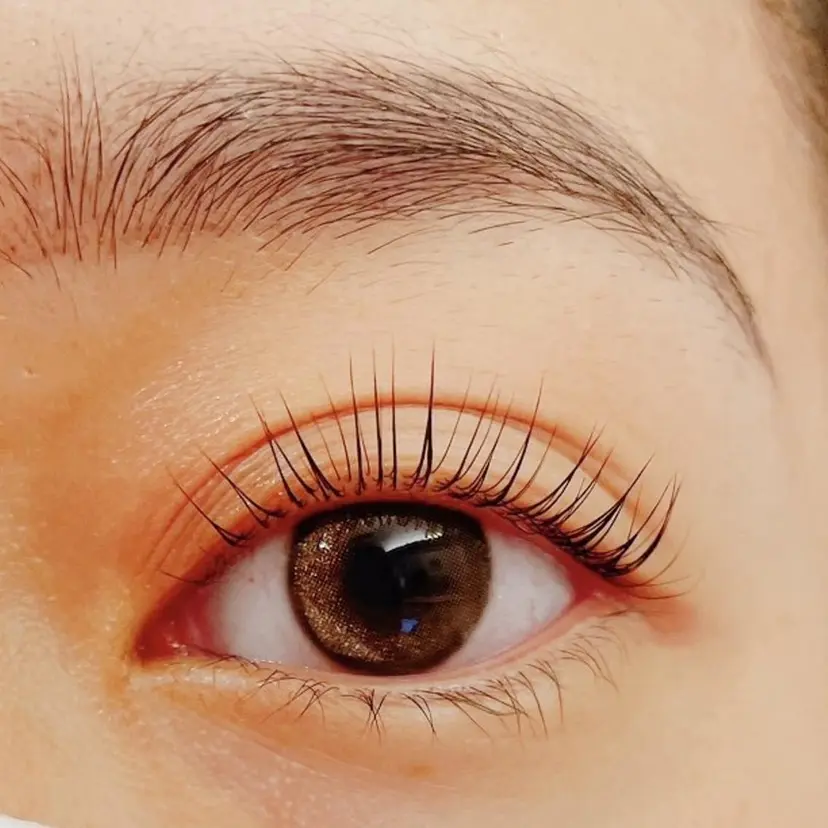 かとおの みさきの掲載