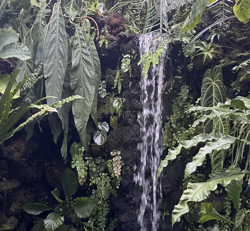 白澤 萌花の掲載