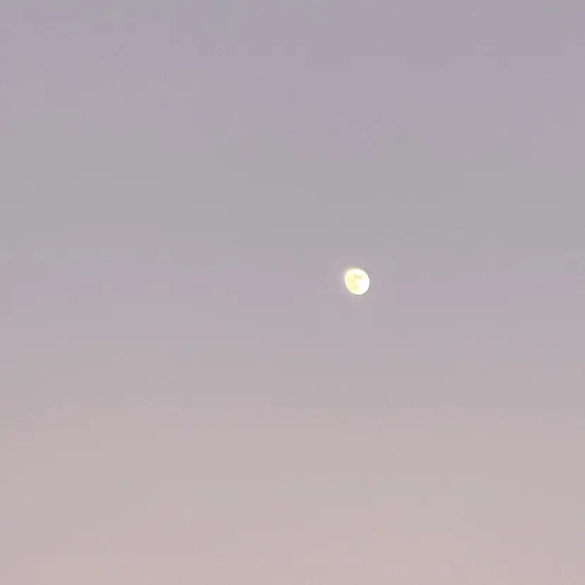 TSUYAMEKI kawaharaの掲載