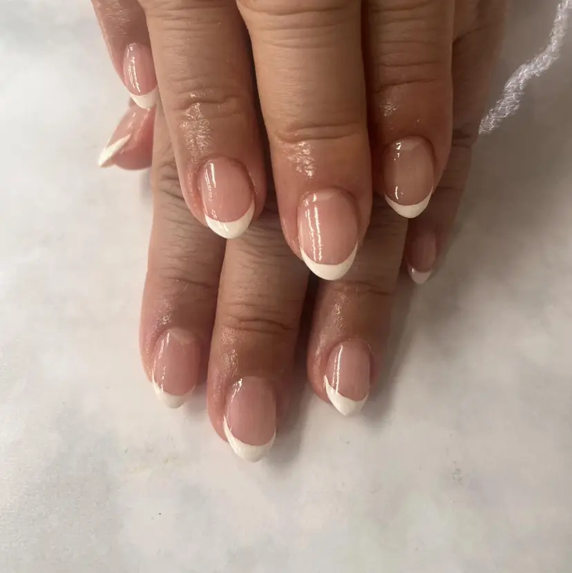 ソニ ダニカの掲載