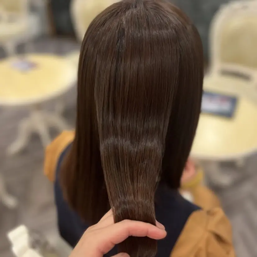 佐藤 天心の掲載