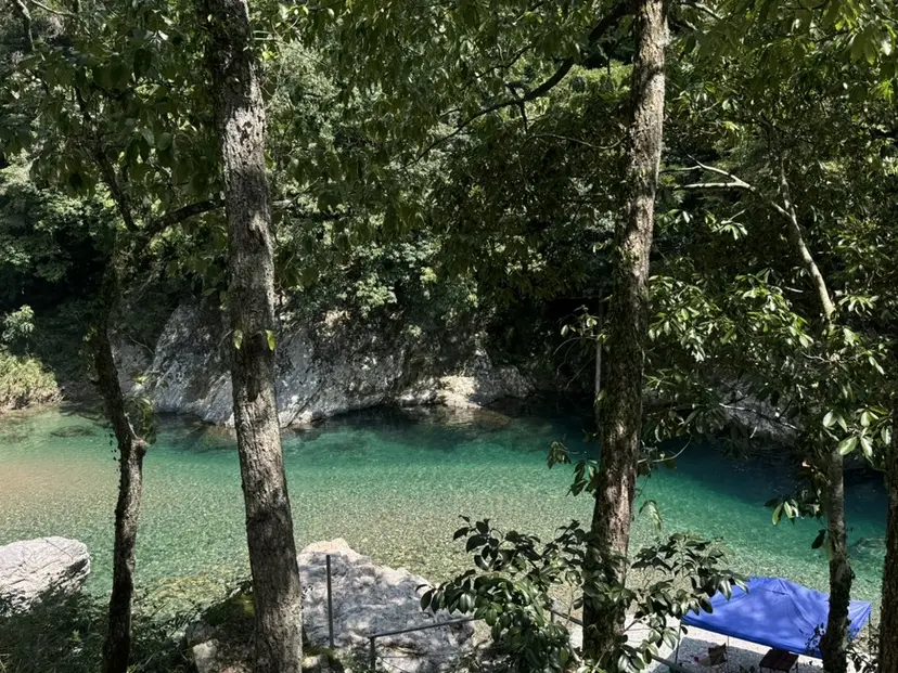 akasaka mariの掲載