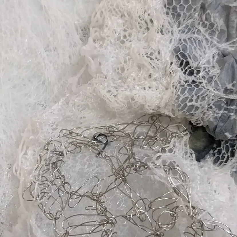 すず/ Betty Nailの掲載