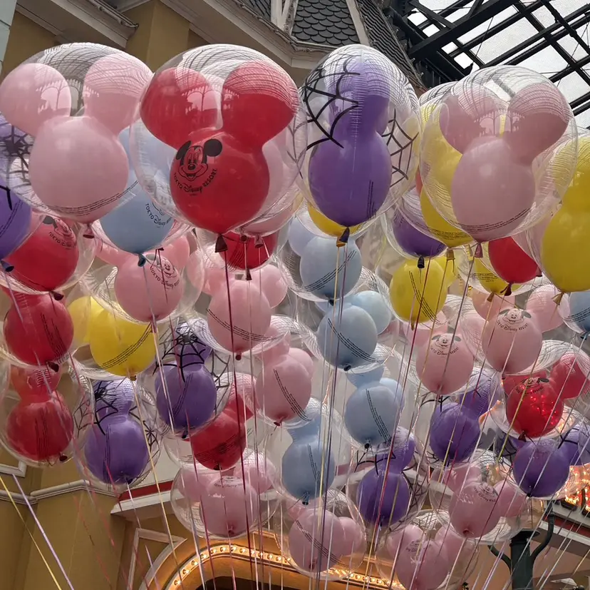 Sol フジイの掲載