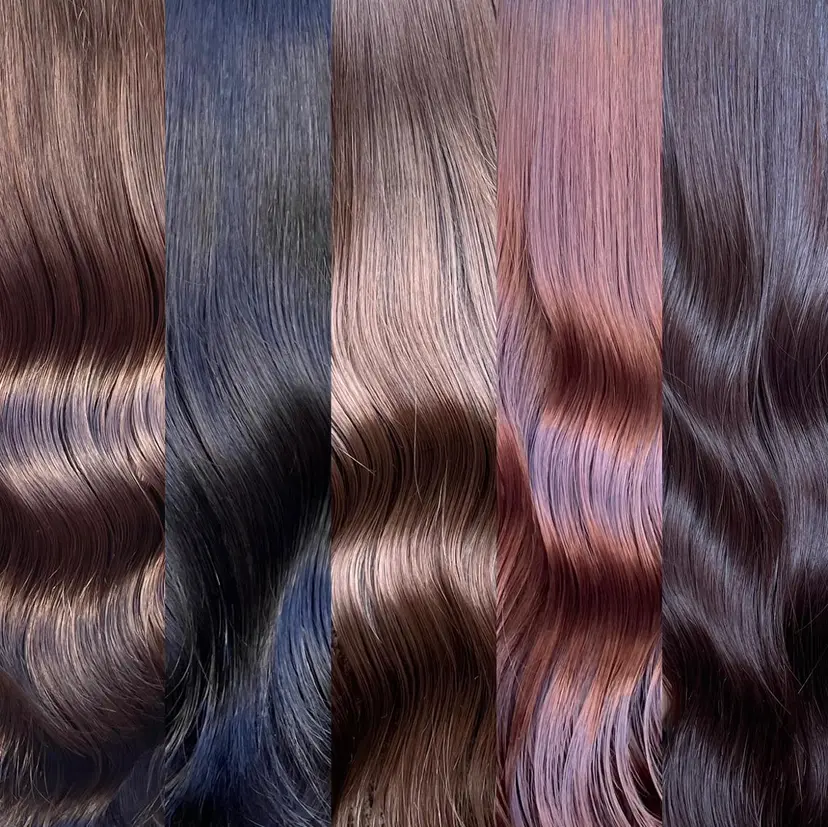 ミヤザキ タクトの掲載