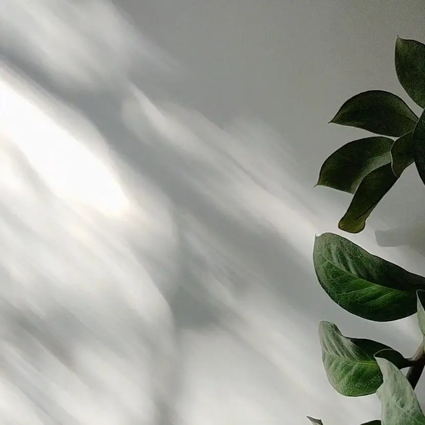 新田 くるみの掲載