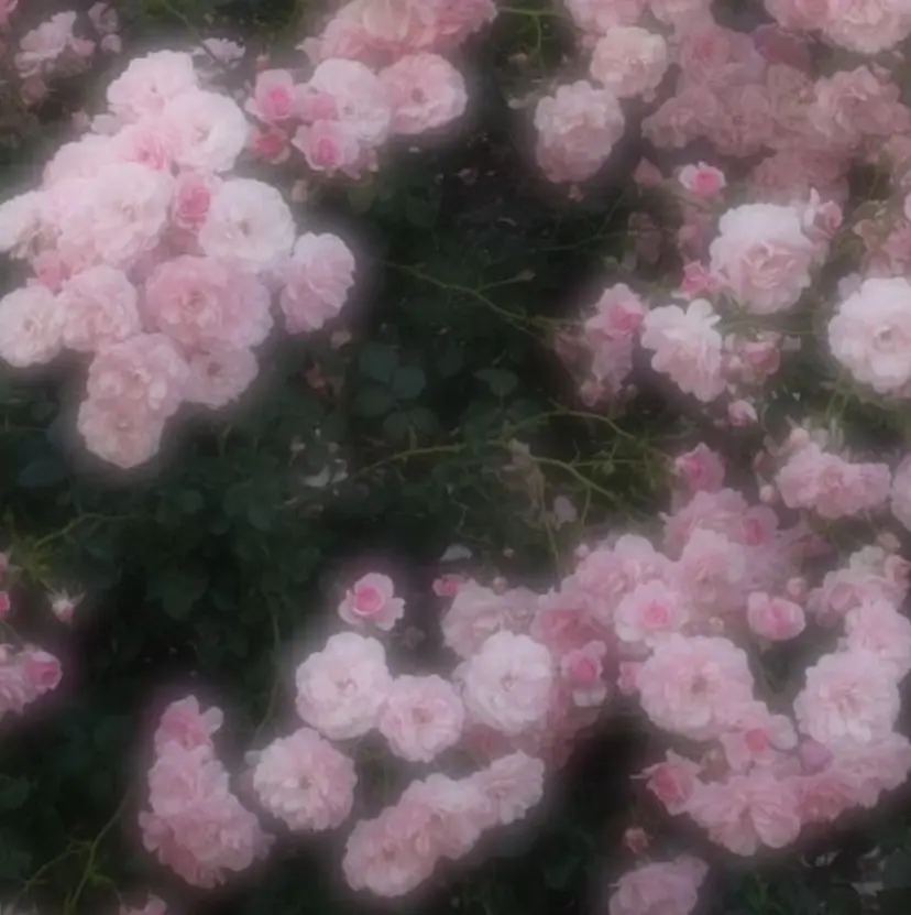 池崎 歩倖の掲載