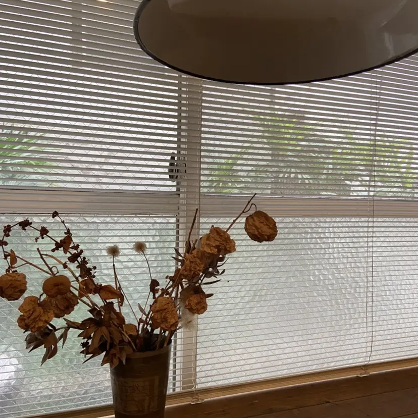 高木 汐梨の掲載