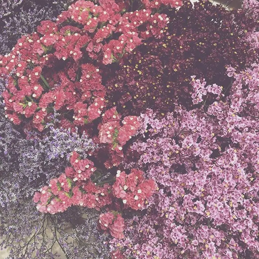 ハイトーンピンク🍑 ブリーチ🍑RINAの掲載