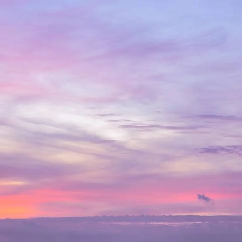 Rika🌼 シンプル•マグネットの掲載