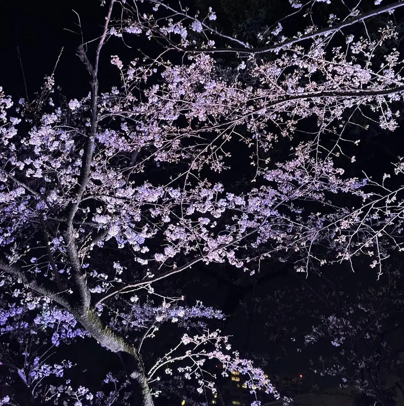 BASSA 上石神井 パーマ得意/setoの掲載