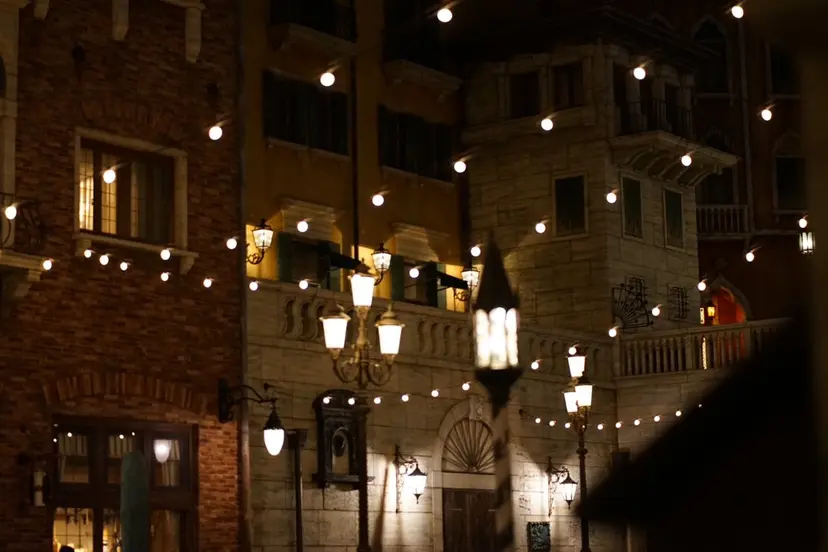 🌴Liber🌴特 別価格/せいらの掲載