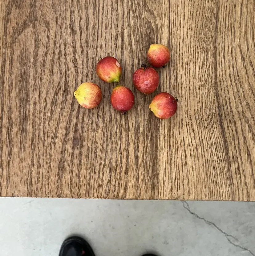 小山夕稀/ニュアンス パーマ/新城の掲載