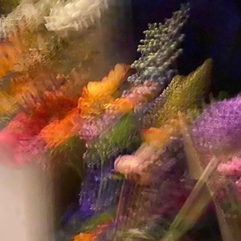 ながこ /透明感カラーの掲載