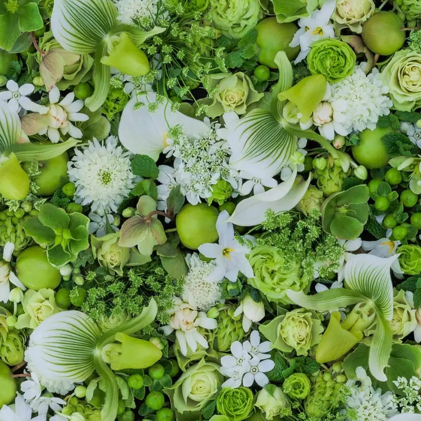 久屋大通フェイシャル エステ　POLAの掲載