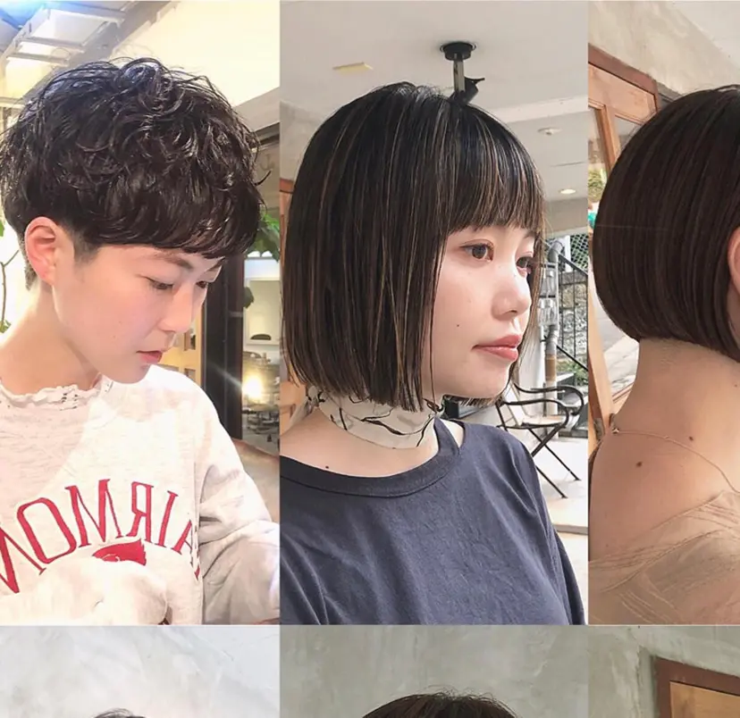 後藤 雅貴の掲載