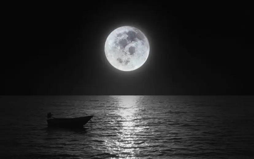 大西 紗英香の掲載