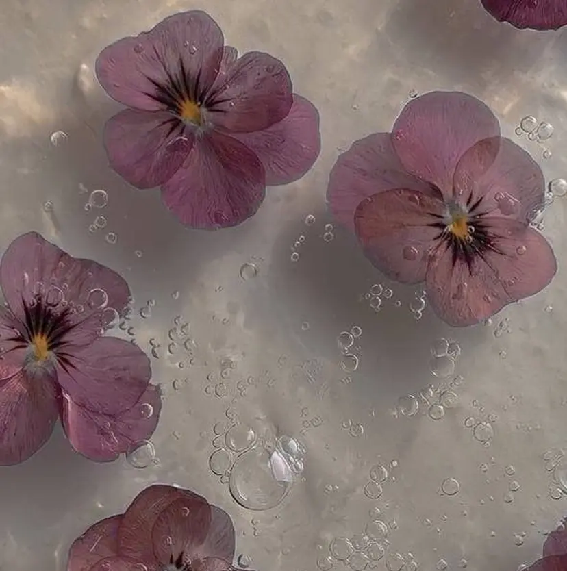 🤍髪質改善➕透明感 カラー🤍川上葵の掲載