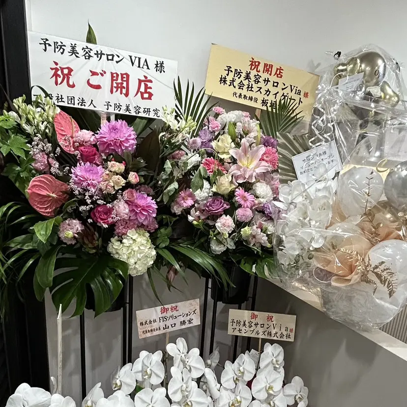 エジリ ナナハの掲載