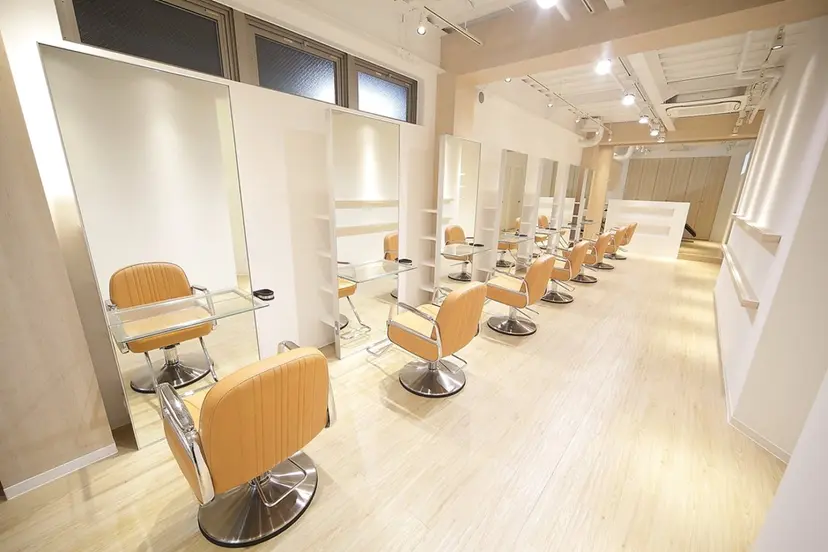 Aeru/ アクツシズカの掲載