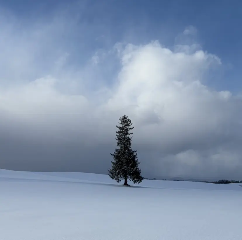 𝑯𝒂𝒏𝒂池袋 ｱｲﾘｽﾄ❁⃘*.ﾟの掲載