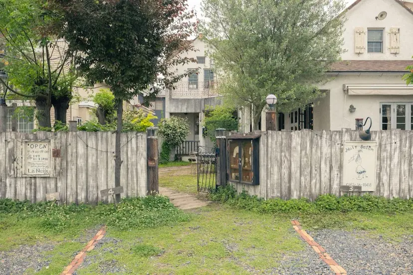 大橋 彩芽の掲載