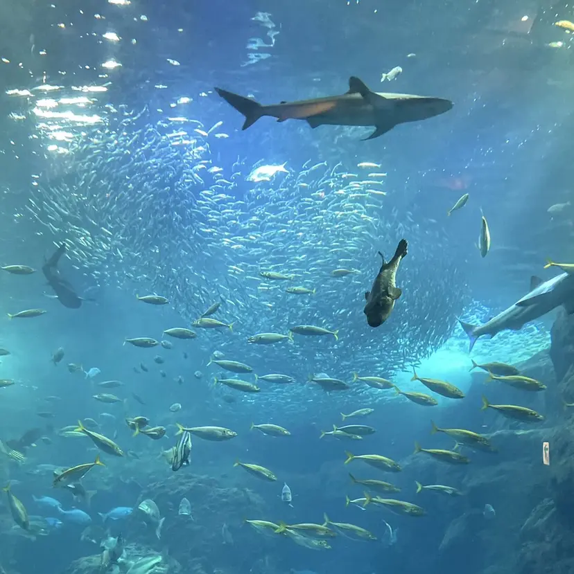 癖毛、多毛の方歓迎 三浦 麻衣の掲載