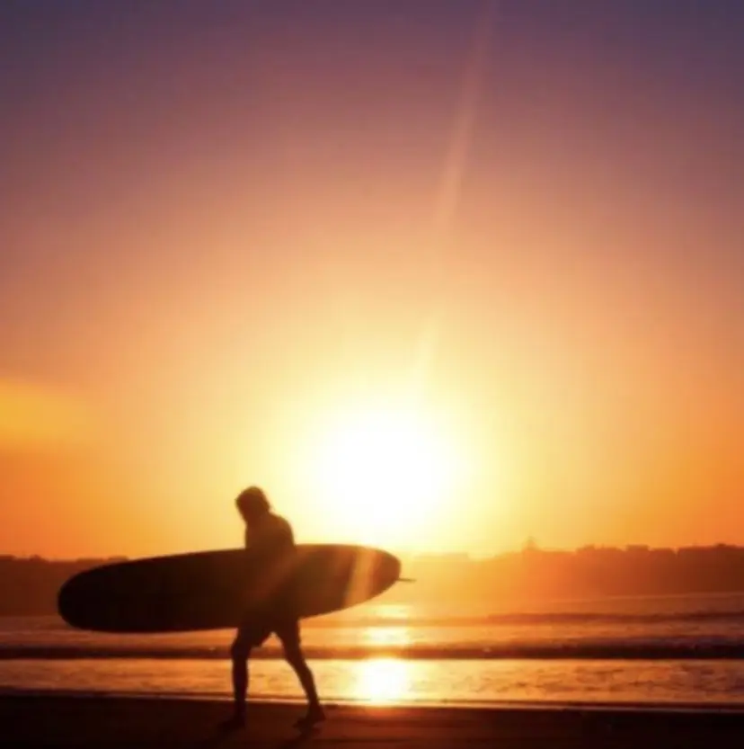 田谷 友正の掲載