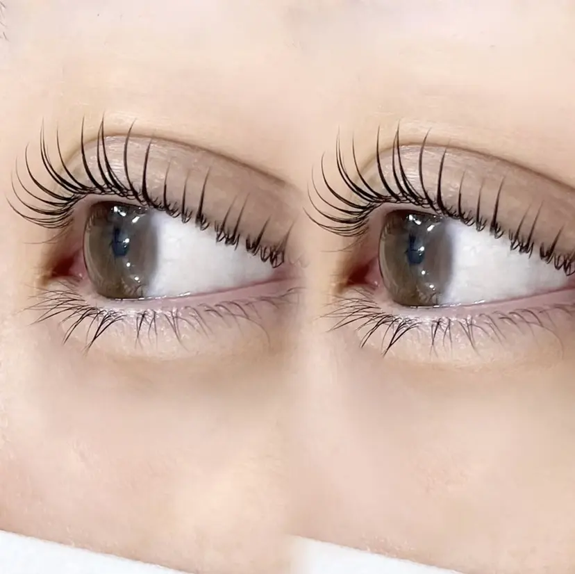 eyelash yawnの掲載