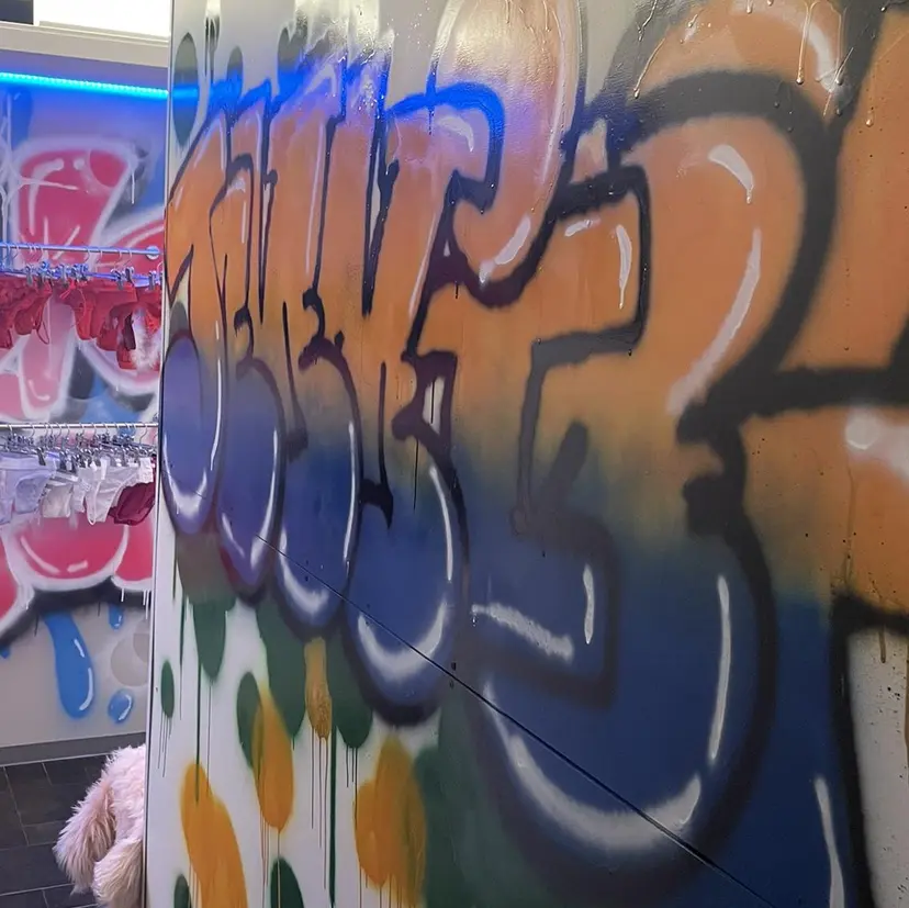 石川 タイナの掲載