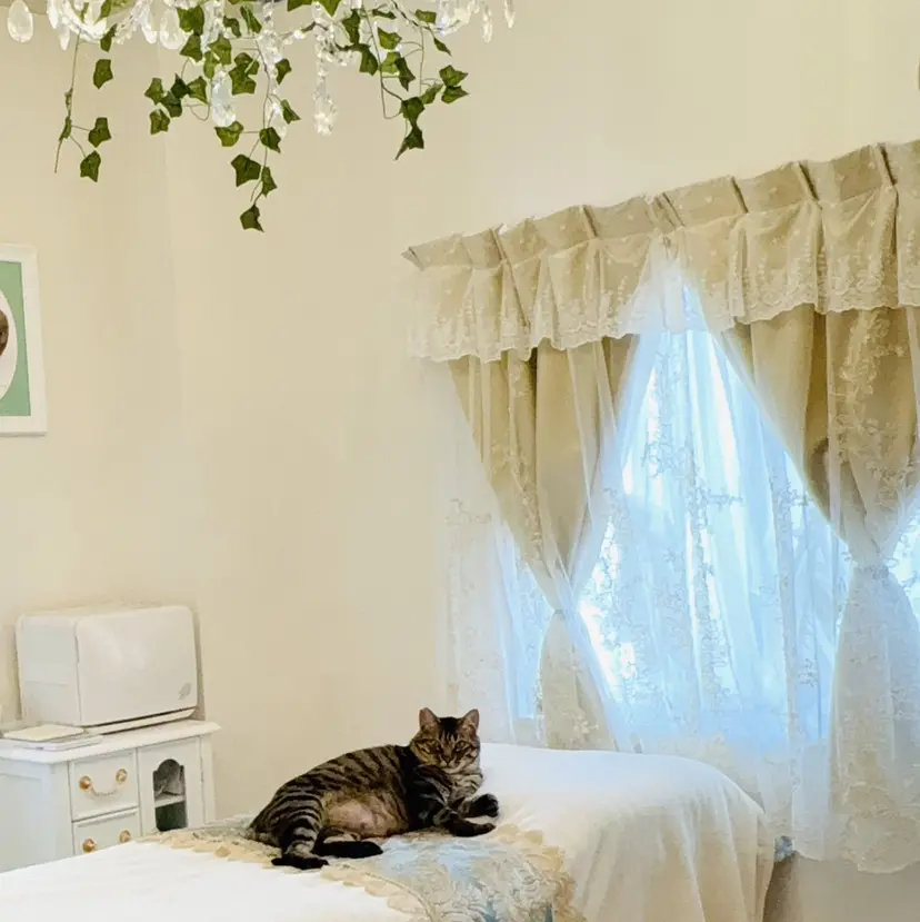 グリーンピール専門店 サロンY【大阪】の掲載