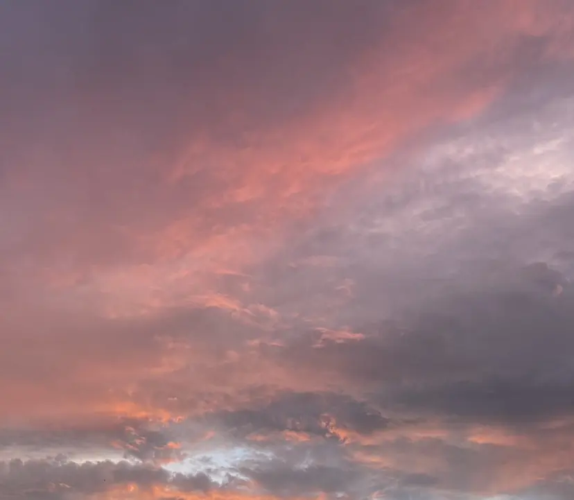 小木曽 里華の掲載