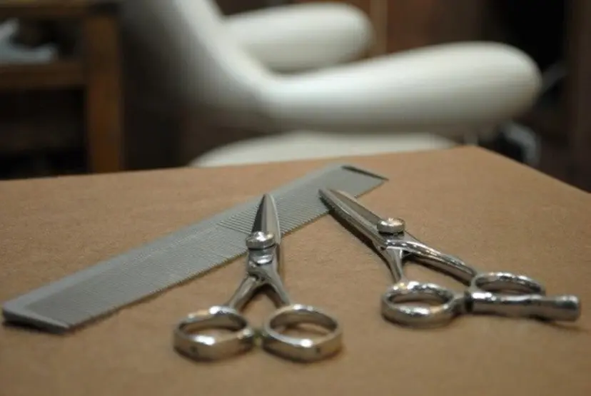 近藤 秀明の掲載